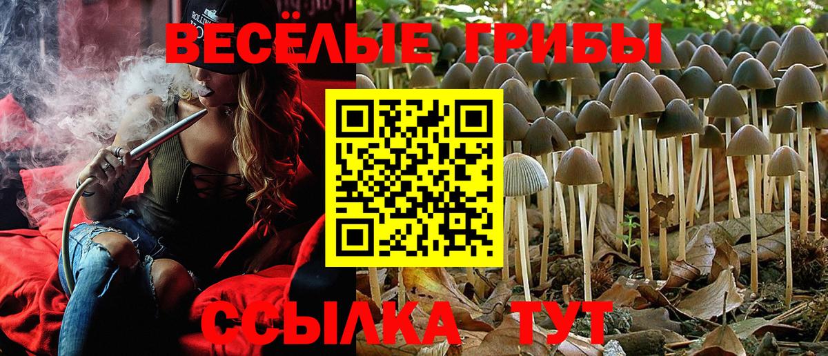 дарнет шоп  Вход с VPN  Дятьково  Галлюциногенные грибы MAGIC MUSHROOMS 